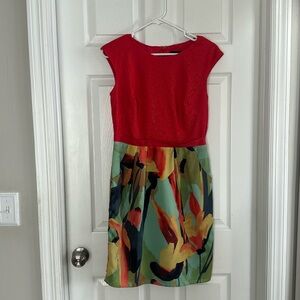 Stunning Adrianna Papell Dress